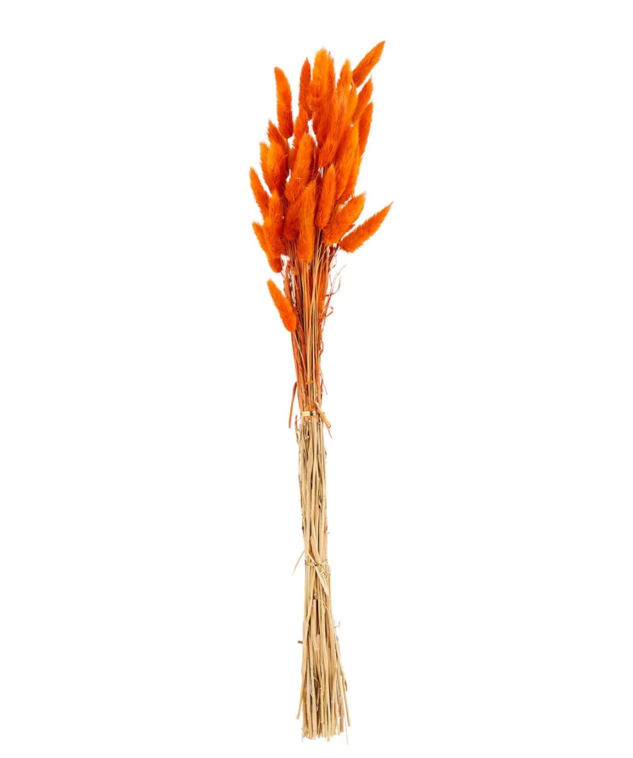 Joe Browns Dk Green Faux Bunny Tail Grass - Realistic Artificial Decorative Grass for Home & Garden