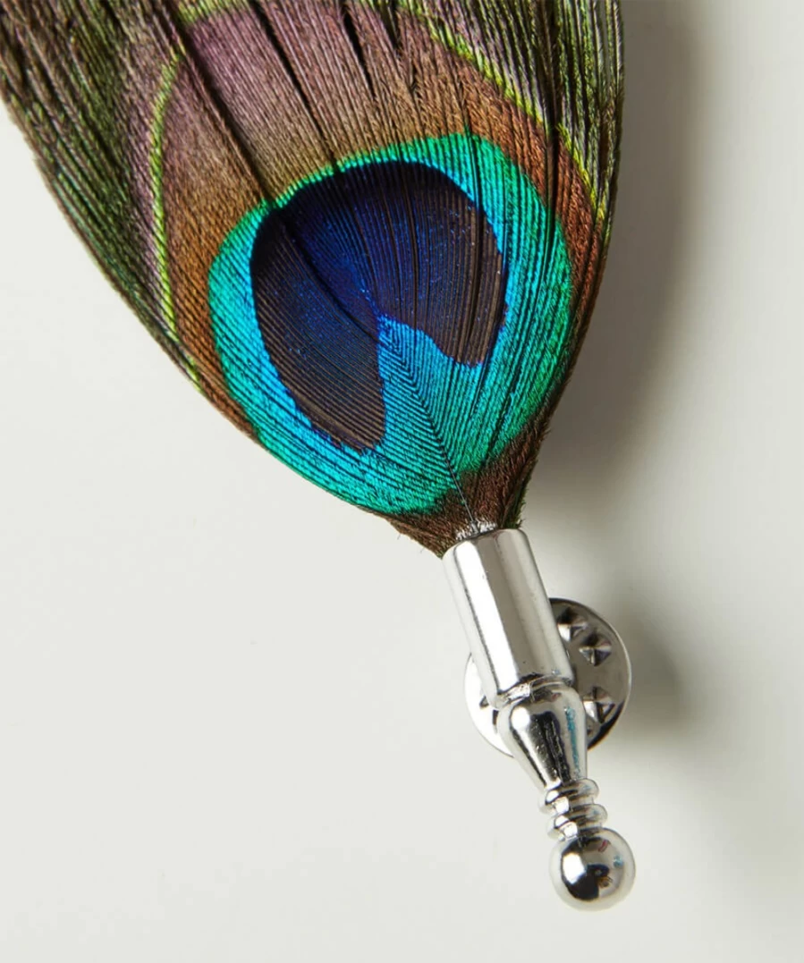 Joe Browns Men's Luxury Peacock Feather Pin - Multi-Color Fashion Accessory