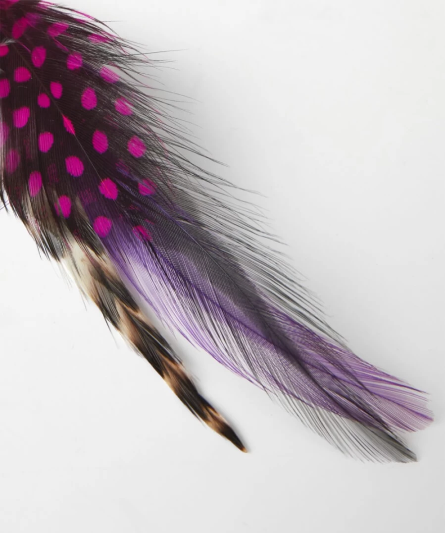 Joe Browns Men's Vibrant Multi-Color Feather Pin for Stylish Accessories